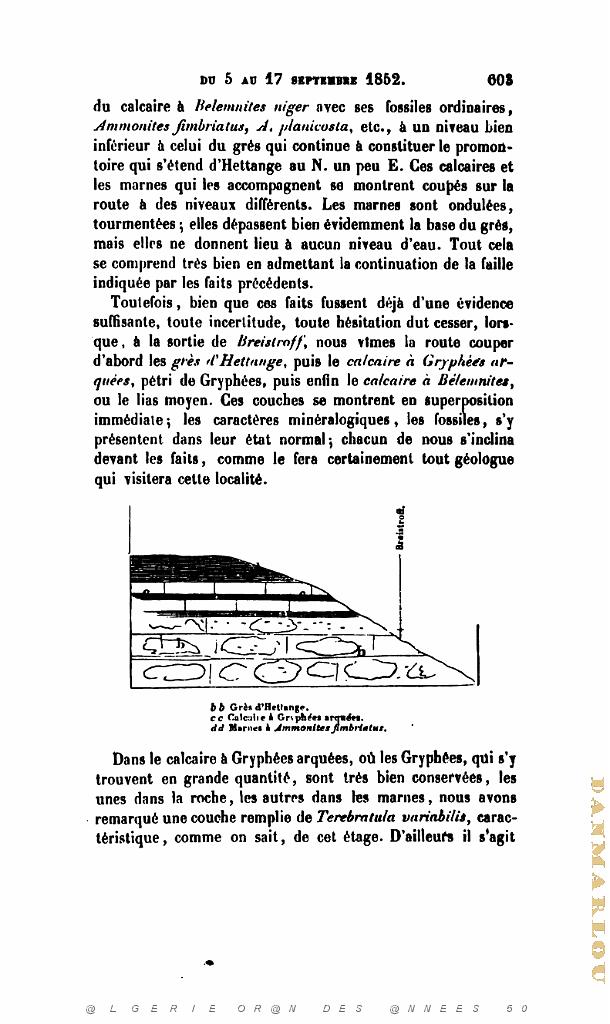 BULLETIN DE LA SOCIETE GEOLOGIQUE DE FRANCE 1852_000652.jpg